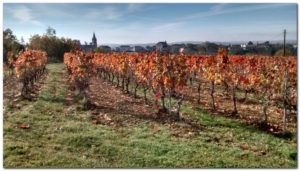 randonnée de cambayrac-vue-sur-vignes-village
