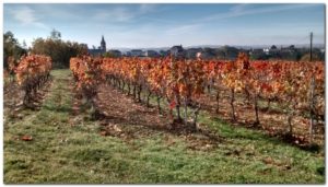 randonnée de cambayrac-vue-sur-vignes-village