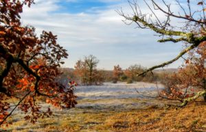 mas d'aspech-givre-nature