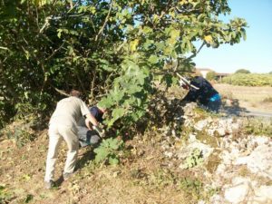 labastide marnhac debroussaillage