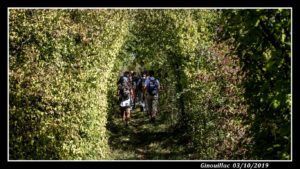 Ginouillac passage sous les arbres