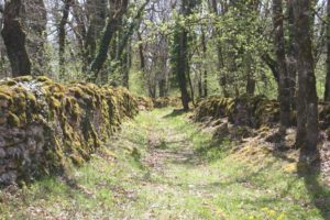 Reyrevignes chemin murs de pierres