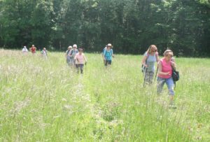 uzech les oules randonneurs hautes herbes