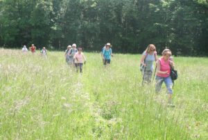 uzech les oules randonneurs hautes herbes