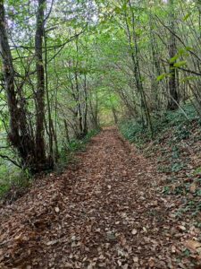 bonaguil randonnée au milieu des bois