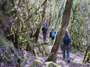 Sauliac sur Célé sentier pédestre au bord du Célé