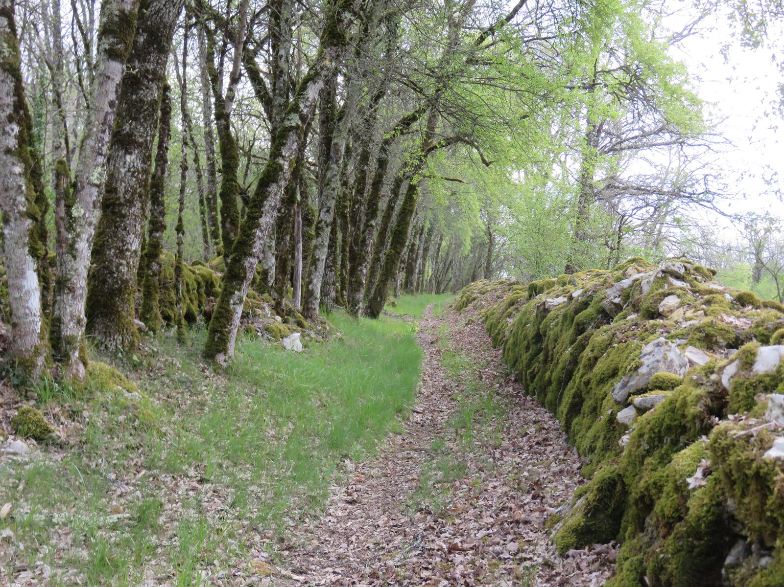 Randonnée de Montgesty Les Montapattes Club de Randonnée Pédestre