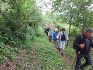 Le vigan randonneurs en foret