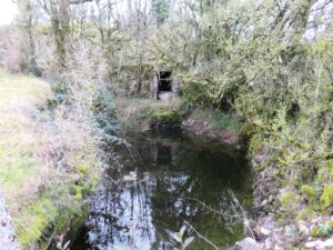 Source naturelle st Michel de Cours