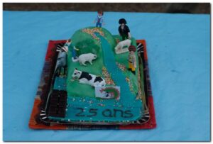 gâteau anniversaire 25 ans des Montapattes 