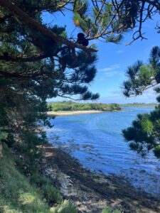 paysage du Morbihan