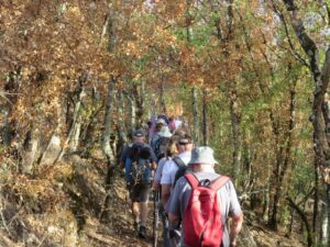Les Montapattes en randonnée à Le Montat